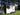 PAARDENAANHANGWAGEN FREEDOM HORSE – 1,5 PLAATSEN – AAN